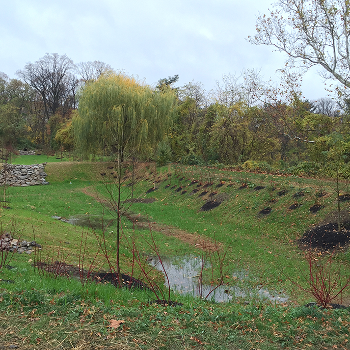 La Salle University Stormwater Management - Raingarden w/ Forebay | TPEC