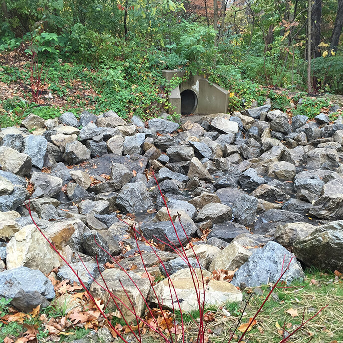 La Salle University Stormwater Management - Endwall w/ Gabions Entering Foreway | TPEC